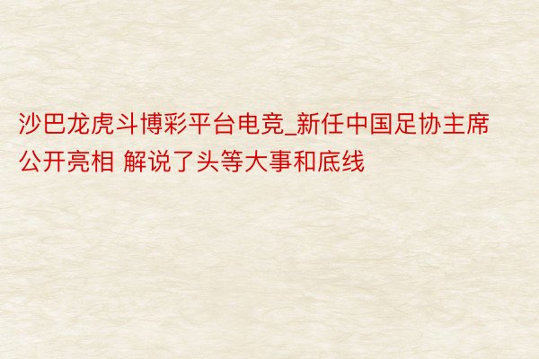 沙巴龙虎斗博彩平台电竞_新任中国足协主席公开亮相 解说了头等大事和底线