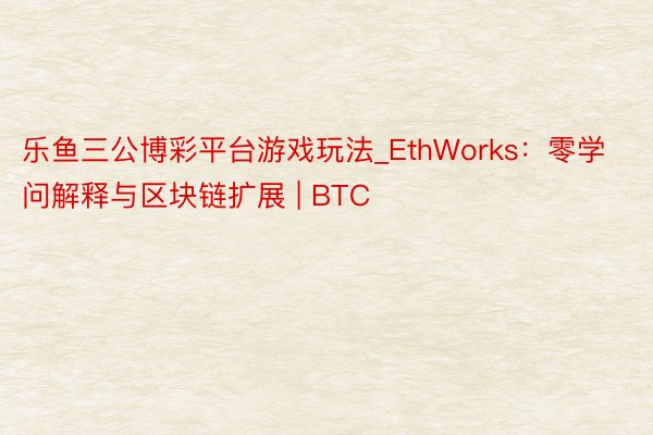 乐鱼三公博彩平台游戏玩法_EthWorks：零学问解释与区块链扩展 | BTC